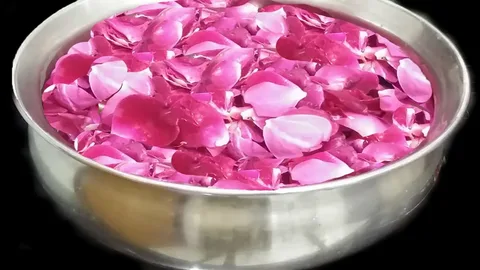 تصویر 4 از گلاب اصل سحرخیز با عطر ناب و خلوص کامل گل های تازه